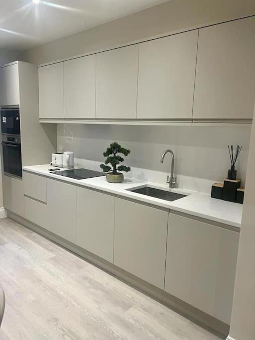 New Flat In Holland Park Daire Londra Dış mekan fotoğraf